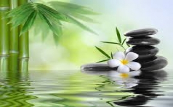 Bất ly bổn tông, chuyên tâm tín lại
